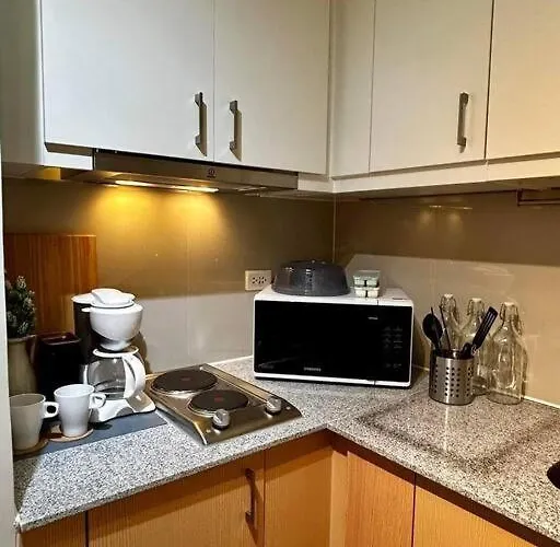 Tranquil Manor At Uptown Bgc Apartment Manila
